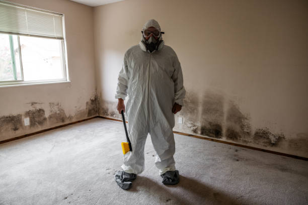 Best Emergency Mold Removal  in Wrightsville, PA